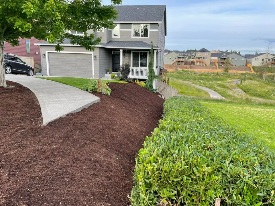 Curved bark bed and fresh sod installed across a front yard