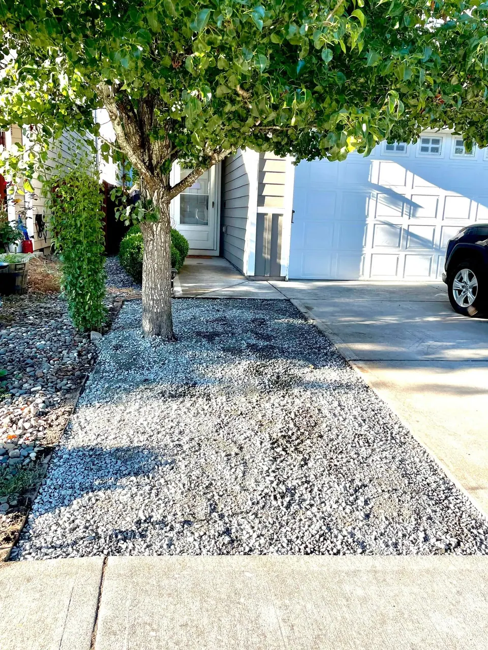 Decorative gravel bed ringing a mature tree beside a driveway