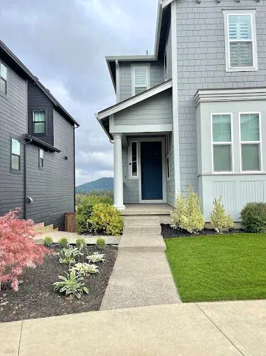 Front entry planting bed with a Japanese maple and low shrubs
